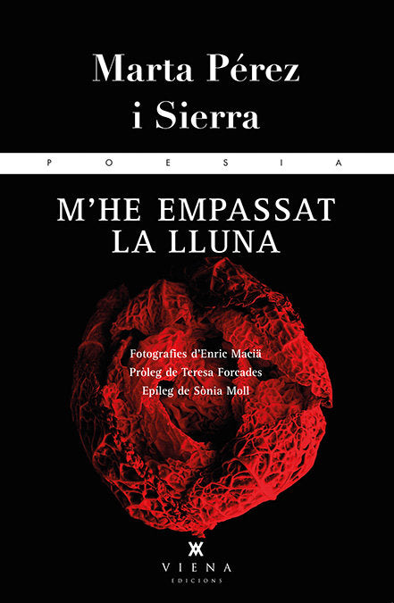 M'he empassat la lluna, de Pérez i Sierra, Marta | portada del libro