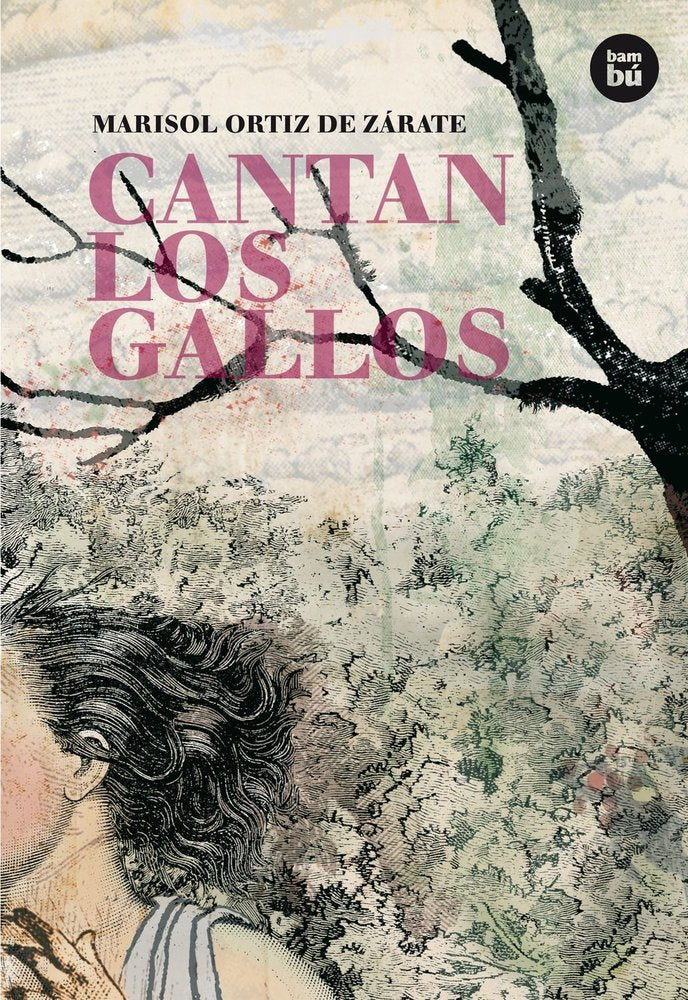 CANTAN LOS GALLOS, de ORTIZ DE ZARATE, MARISOL | portada del libro