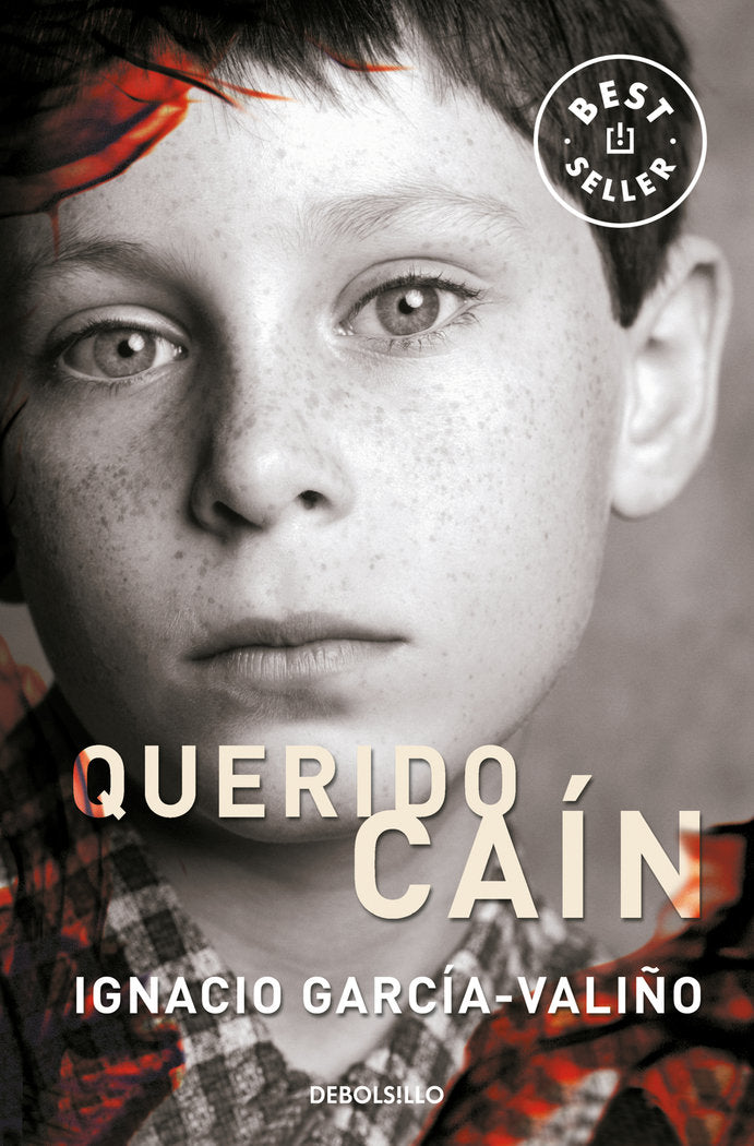 Querido Caín, de García-Valiño, Ignacio | portada del libro
