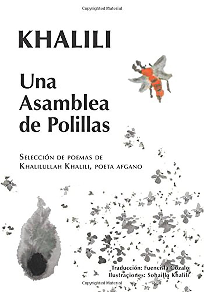 UNA ASAMBLEA DE POLILLAS, de Khalili, Masood | portada del libro
