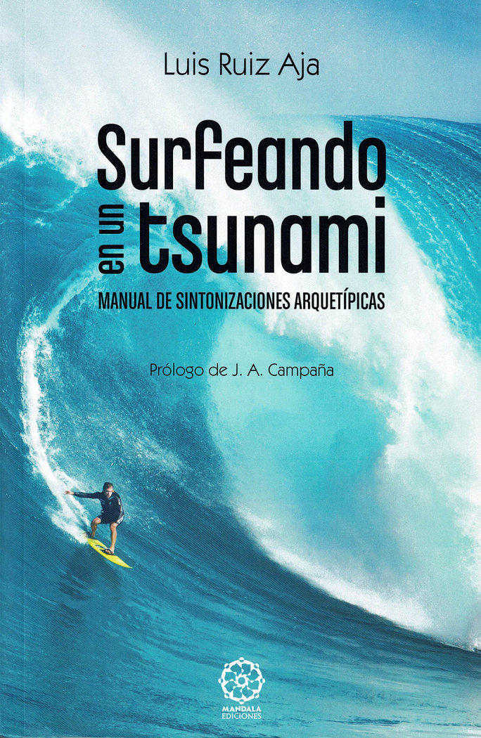 SURFEANDO EN UN TSUNAMI, de Ruiz Aja, Luis | portada del libro