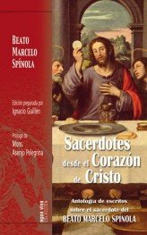 Sacerdotes desde el corazón de Cristo, de Guillén, Ignacio | portada del libro