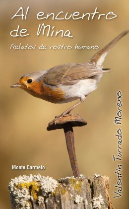Al encuentro de Mina, de Turrado Moreno, Valentin | portada del libro