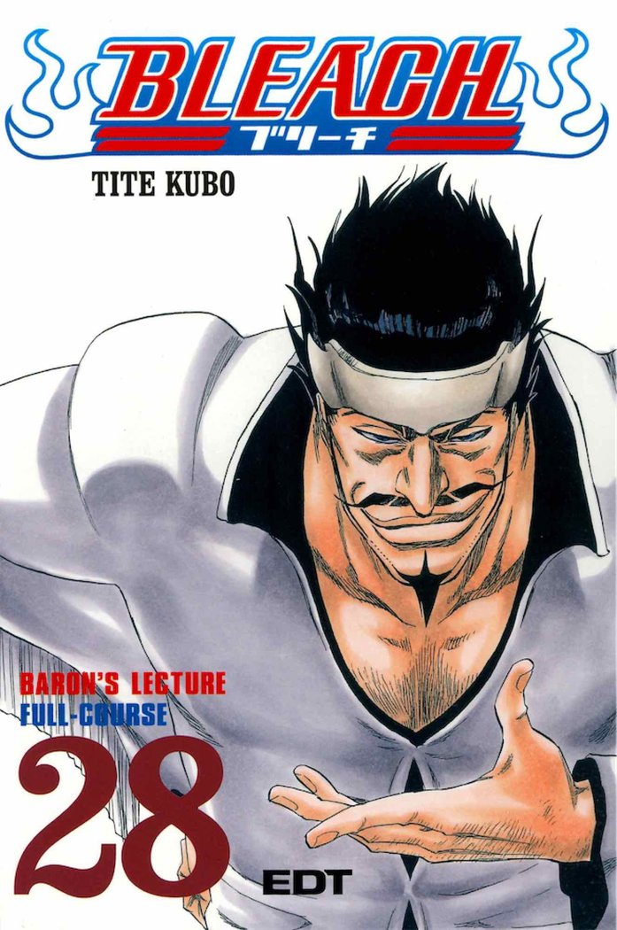 Bleach 28, de TITE KUBO | portada del libro
