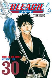 Bleach 30, de TITE KUBO | portada del libro