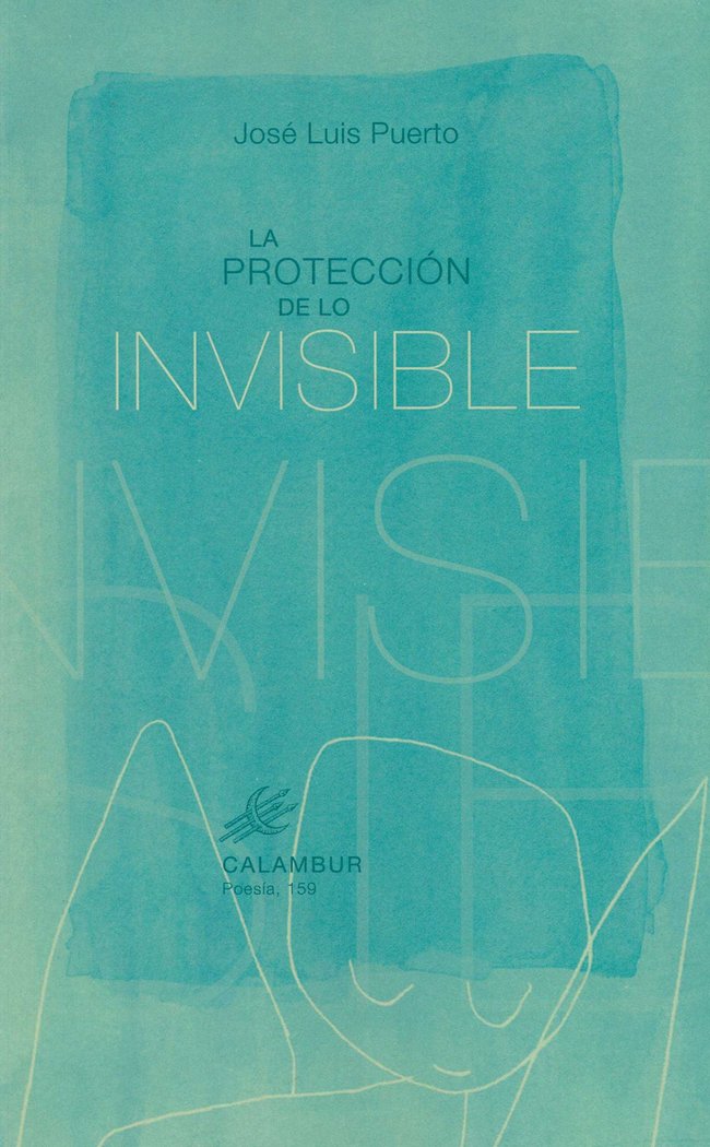 PROTECCION DE LO INVISIBLE, de PUERTO,JOSE LUIS | portada del libro