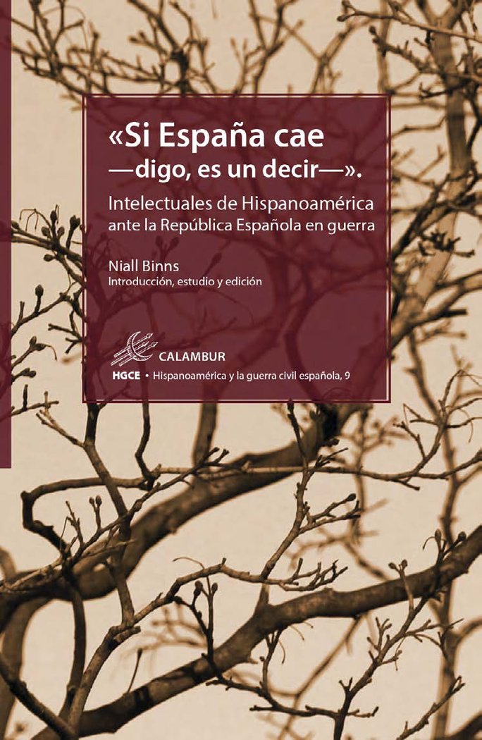 SI ESPAÑA CAE -DIGO, ES UN DECIR-, de BINNS, NIALLS | portada del libro