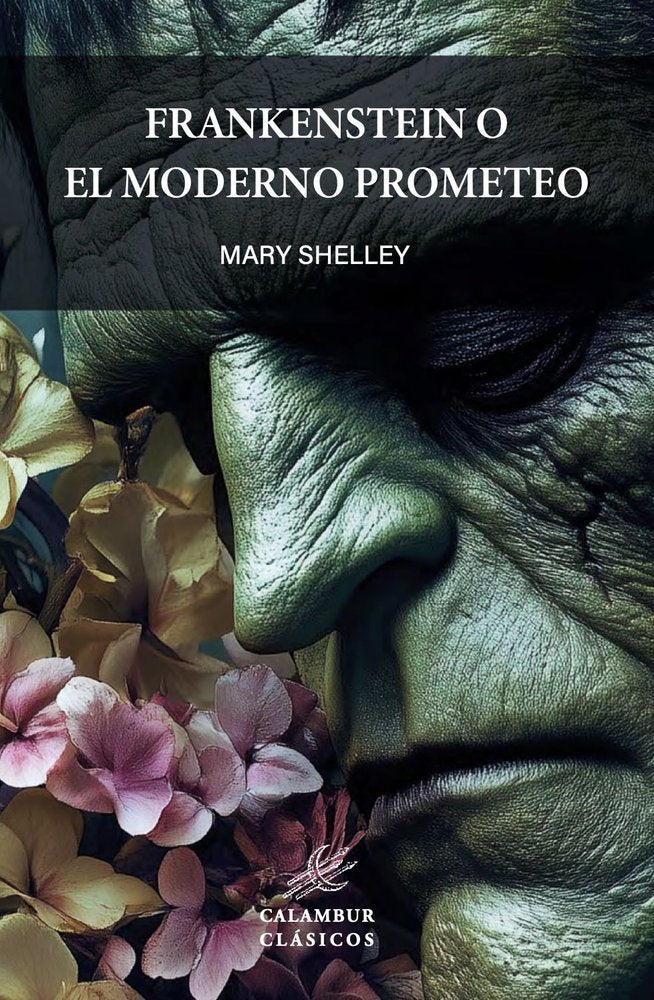FRANKENSTEIN O EL MODERNO PROMETEO, de SHELLEY, MARY | portada del libro