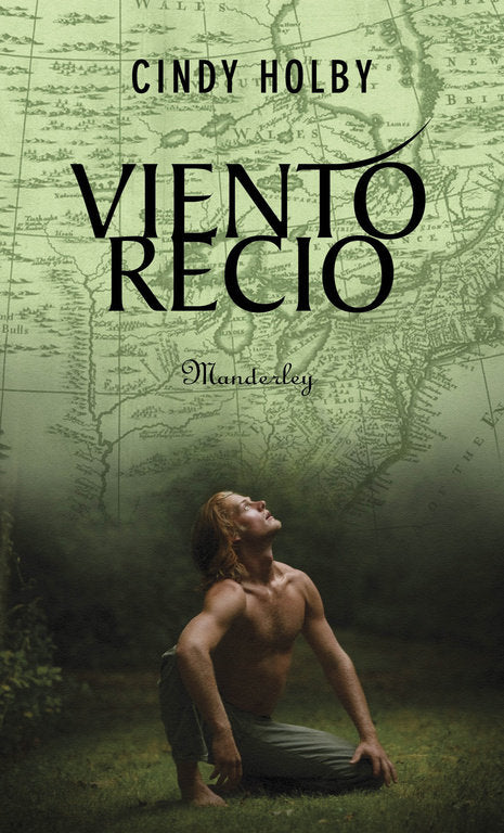 Viento Recio, de HOLBY | portada del libro