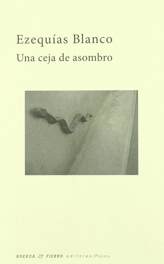 Una ceja de asombro, de Blanco Rubio | portada del libro
