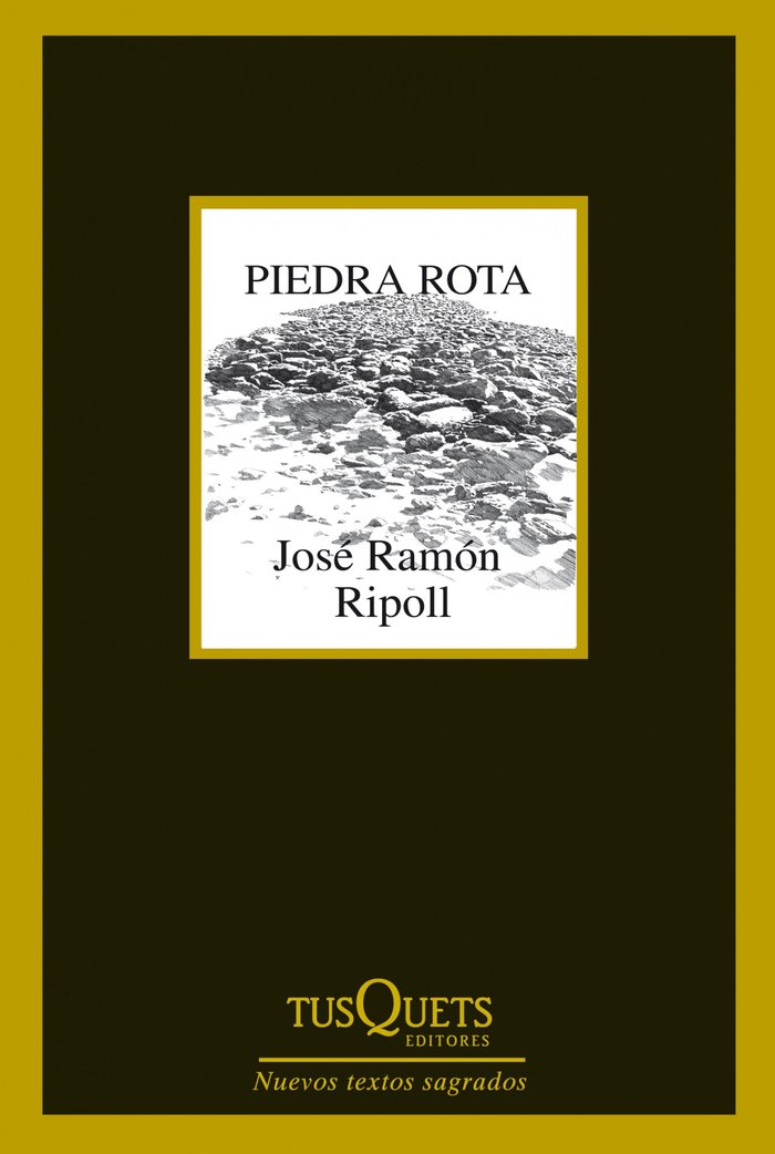 Piedra rota, de Ripoll, José Ramón | portada del libro