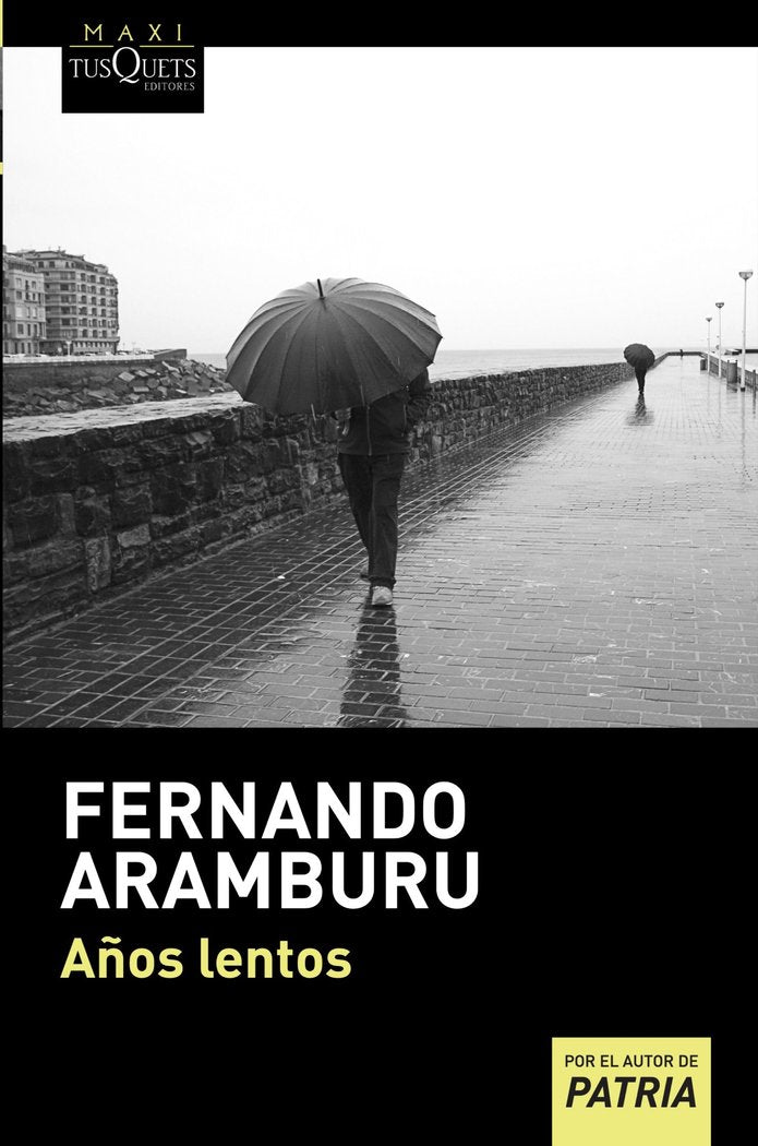 Años lentos, de Aramburu, Fernando | portada del libro