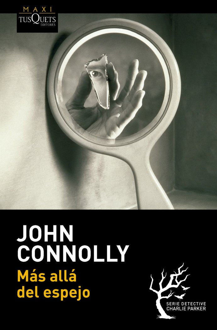 Más allá del espejo, de Connolly, John | portada del libro