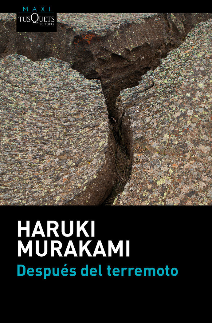 Después del terremoto, de Murakami, Haruki | portada del libro