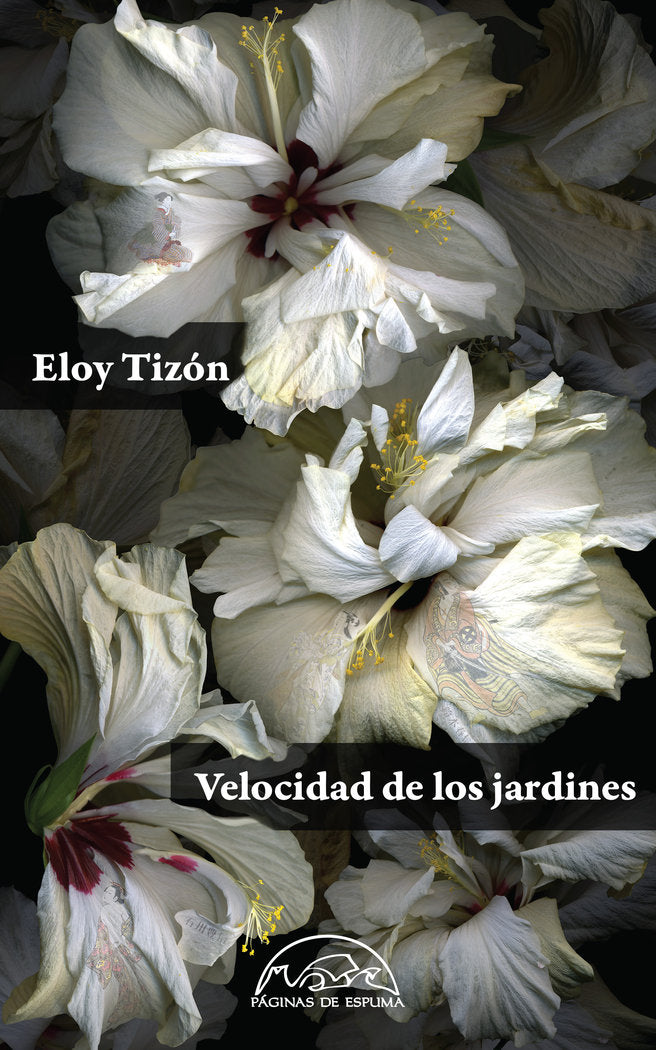 Velocidad de los jardines, de Tizón, Eloy | portada del libro