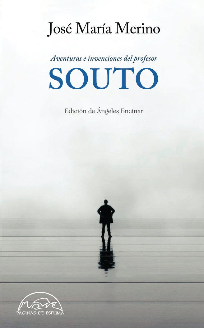 Aventuras e invenciones del Profesor Souto, de Merino, José María | portada del libro