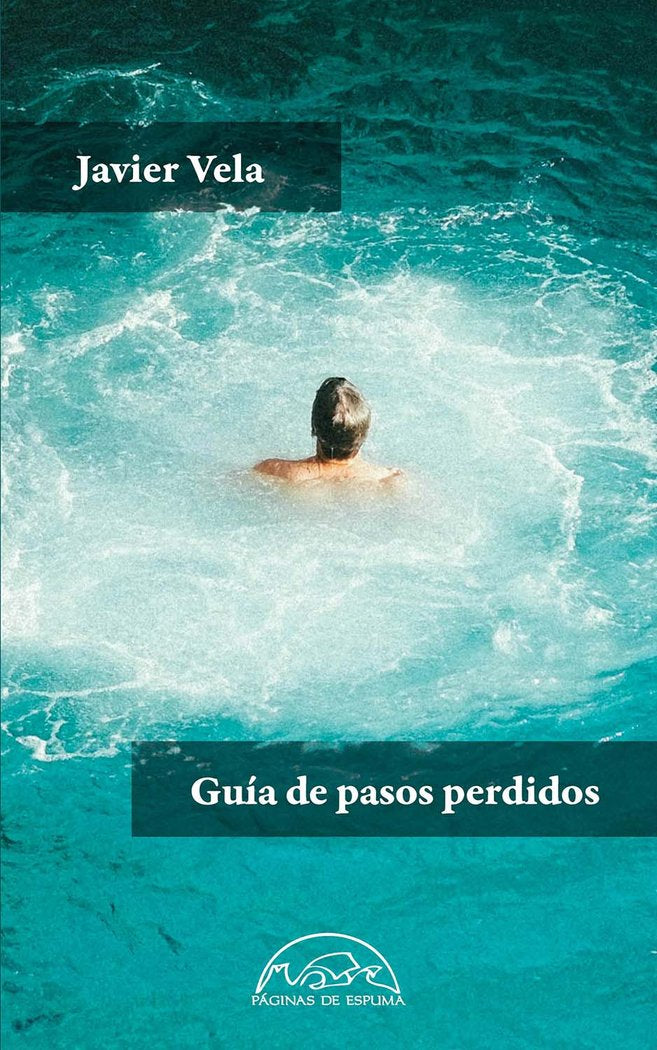 GUIA DE PASOS PERDIDOS, de VELA, JAVIER | portada del libro