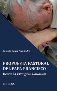 Propuesta pastoral del Papa Francisco, de Danoz Fernández, Antonio | portada del libro