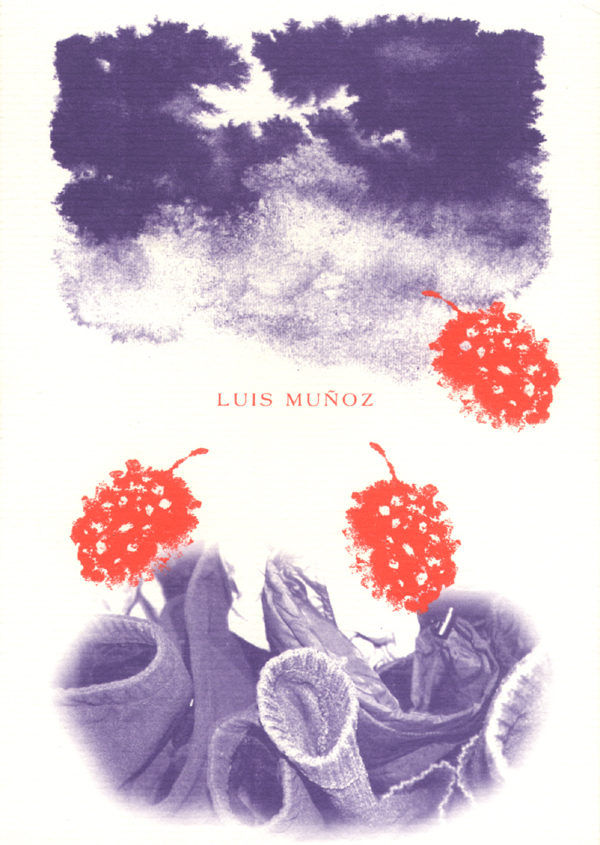Luís Muñoz., de Muñoz Montero | portada del libro