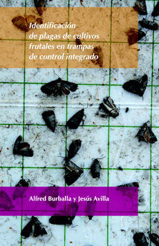 Identificación de plagas de cultivos frutales en trampas de control integrado., de Avilla Hernández | portada del libro