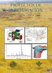 Proyectos de investigación 2004 - 2005, de Varios autores | portada del libro