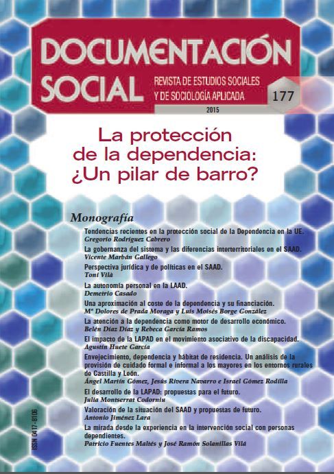 La protección de la dependencia: ¿Un pilar de barro?, de Varios autores | portada del libro