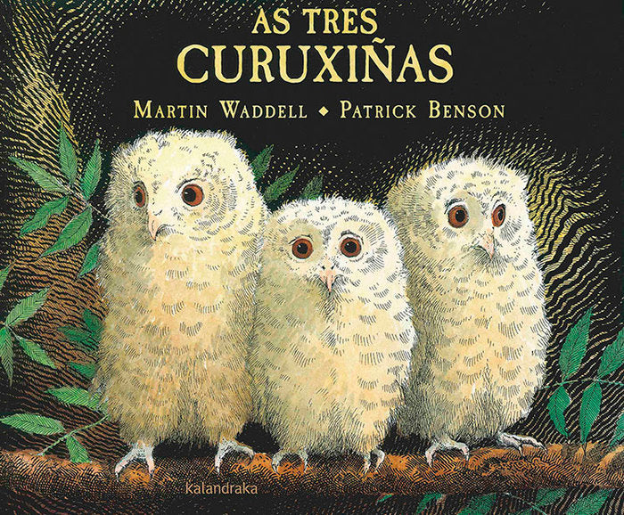 As tres curuxiñas, de Waddell, Martin | portada del libro
