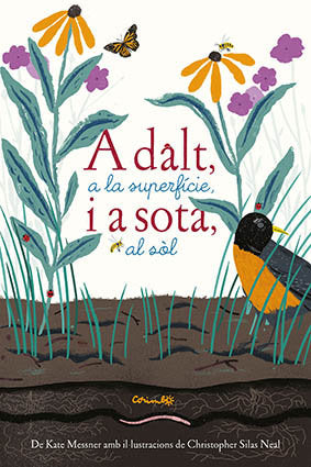 ADALT A LA SUPERFICIE I A SOTA AL SOL, de KATE MESSNER & CHRISTOPHER SILAS NEAL | portada del libro