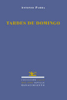 Tardes de Domingo, de Parra Ruiz, Antonio | portada del libro