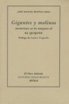 Gigantes y molinos, de Benítez Ariza, José Manuel | portada del libro