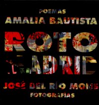 Roto Madrid, de Bautista, Amalia | portada del libro