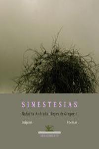 Sinestesias, de Gregorio, Reyes de | portada del libro