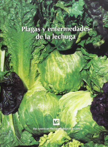 Plagasáyáenfermedadesádeálaálechuga, de THE AMERICAN PHYTOPATHOLOGICAL SOCIETY | portada del libro
