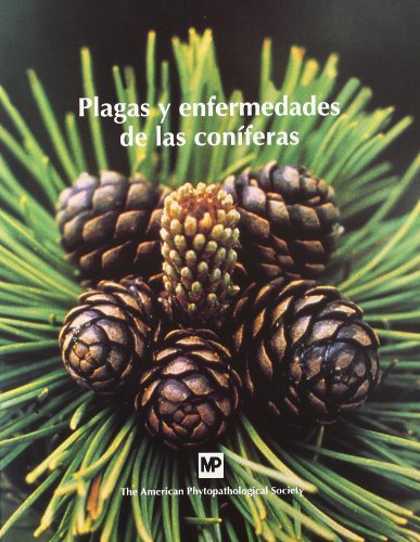 Plagasáyáenfermedadesádeálasáconíferas, de THE AMERICAN PHYTOPATHOLOGICAL SOCIETY | portada del libro