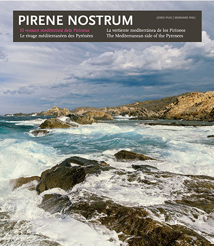 Pirene Nostrum, de Puig Castellano, Jordi | portada del libro