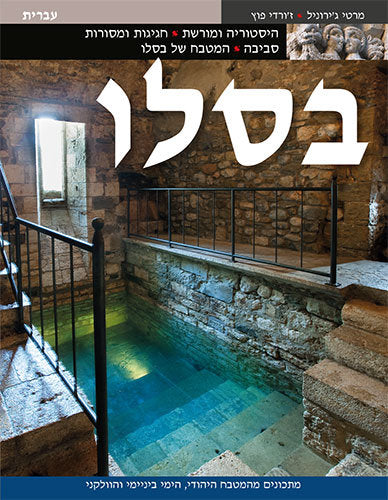 Besalú, de Puig Castellano, Jordi | portada del libro