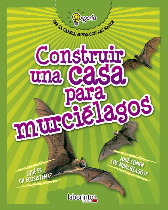 Construir una casa para murciélagos, de Sidoti, Beniamino | portada del libro
