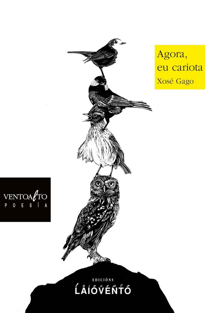 Agora, eu cariota, de Gago, Xosé | portada del libro