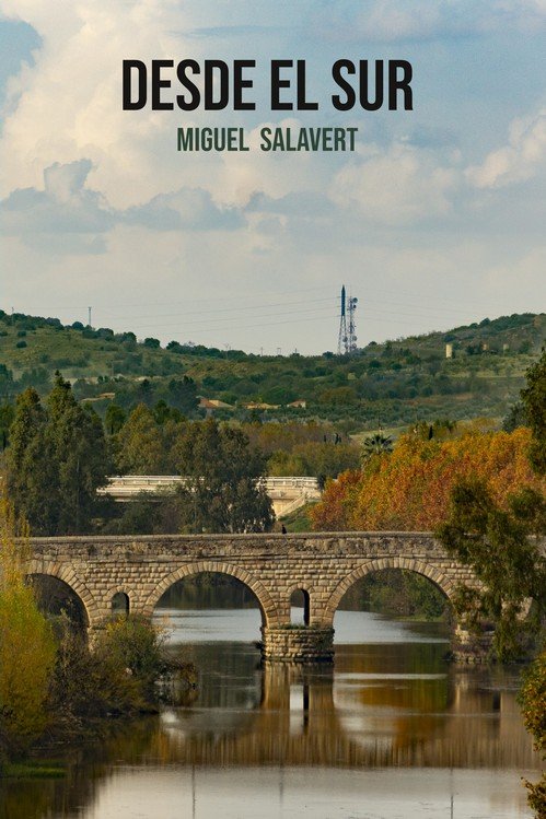 DESDE EL SUR (NOVELA), de MANZANERA, MIGUEL | portada del libro