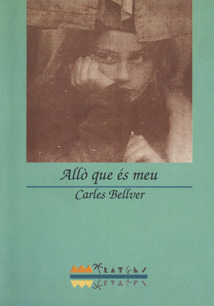 Allò que és meu, de BELLVER I TORL·, CARLES | portada del libro