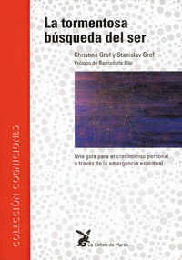 TORMENTOSA BUSQUEDA DEL SER | portada del libro