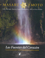 Las fuentes del corazón, de Alberto | portada del libro
