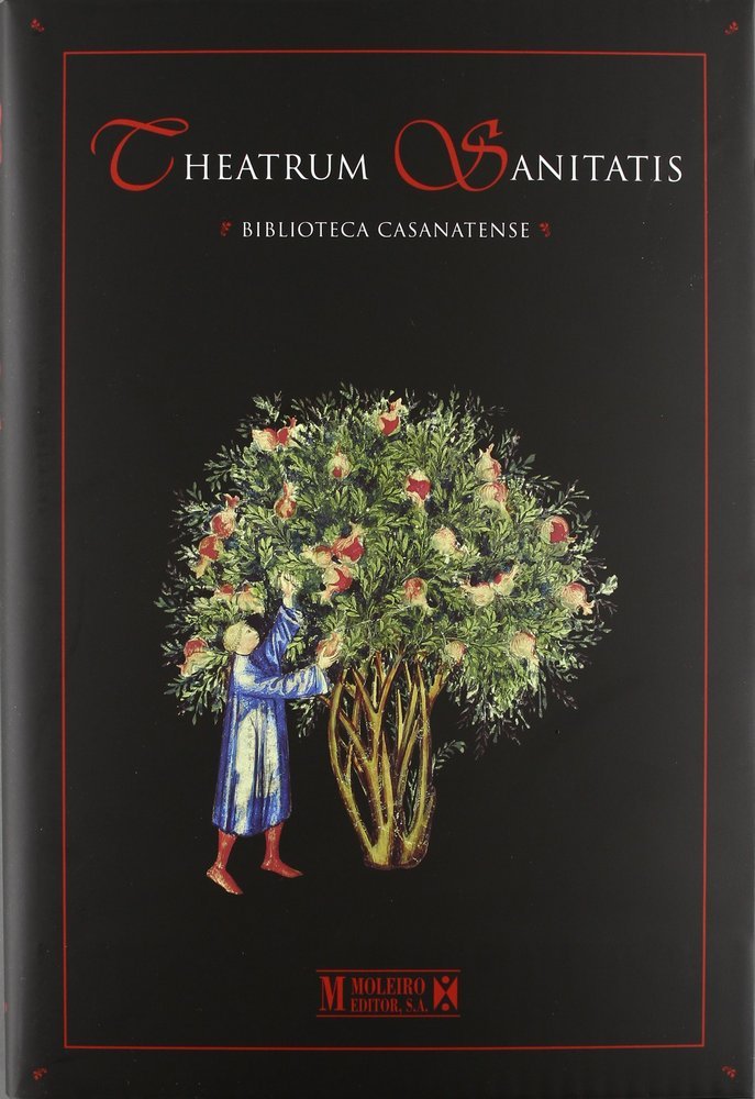 THEATRUM SANITATIS (ESTUDIO), de VV.AA. | portada del libro