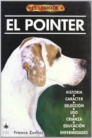 El libro de EL POINTER, de Zurlini | portada del libro