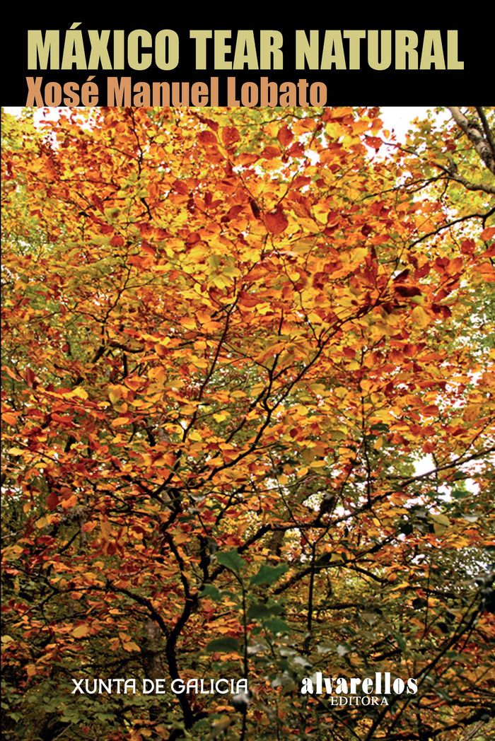MÁXICO TEAR NATURAL, de Lobato Martínez, Xosé Manuel | portada del libro