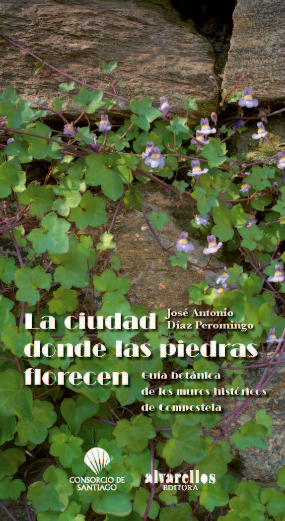 LA CIUDAD DONDE LAS PIEDRAS FLORECEN, de Díaz Peromingo | portada del libro