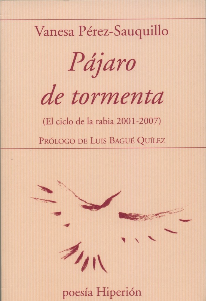 PAJARO DE TORMENTA, de PEREZ- SAUQUILLO | portada del libro