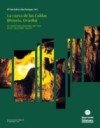 LA CUEVA DE LAS CALDAS (PRIORIO, OVIEDO). OCUPACIONES MAGDALENIEN, de Mª SOLEDAD CORCHON RODRIGUEZ | portada del libro