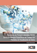 Prevención de Riesgos Laborales. Sector Servicios: Riesgos Específicos del Trabajo con Pantallas de, de Varios autores | port