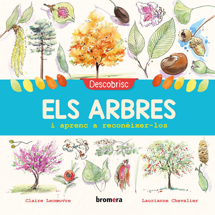 Descobrisc els arbres i aprenc a reconéixer-los, de Lecoeuvre, Claire | portada del libro